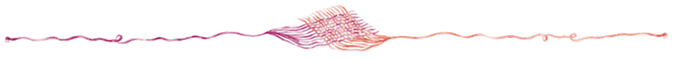 decorative border