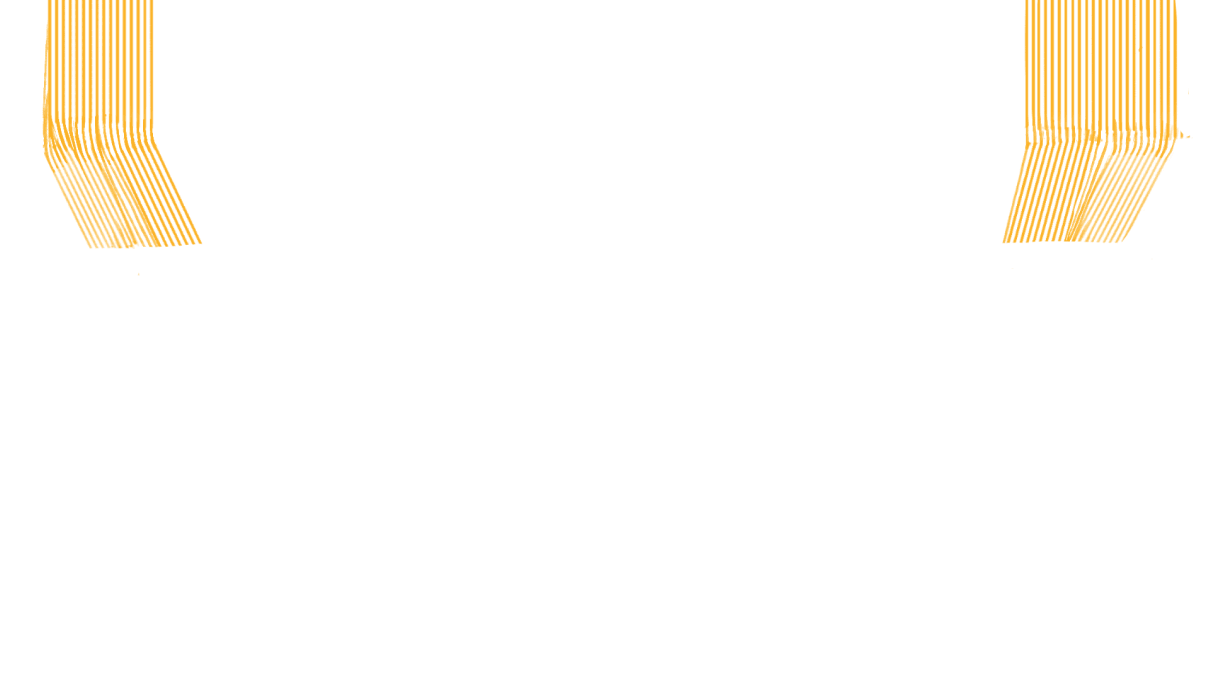 Zari 2