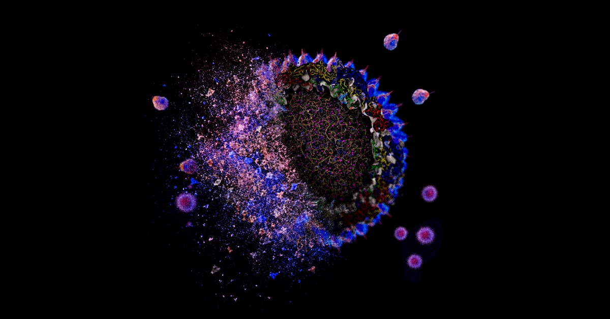 altermag.com image