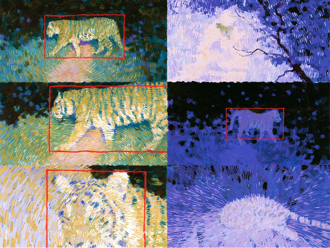 Painted camera-trap frames, each tiger boxed in red