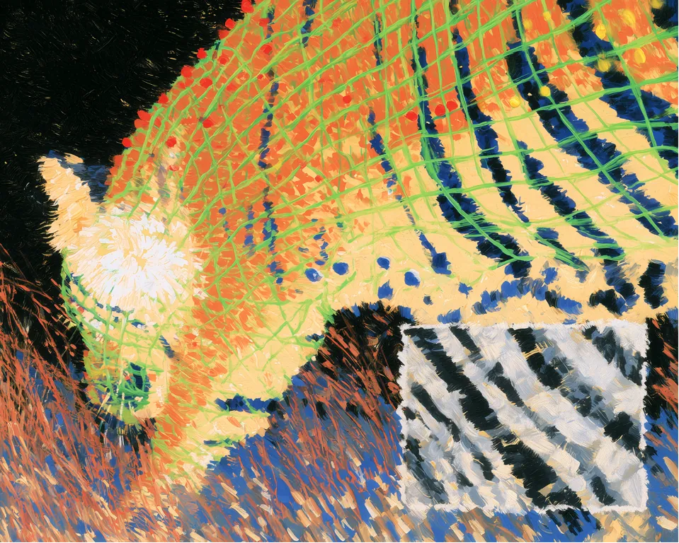 A painted tiger under a grid of survey lines, a patch of its stripes marked out